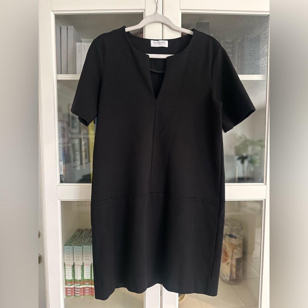 Everlane Black Short Sleeve Shift Dress